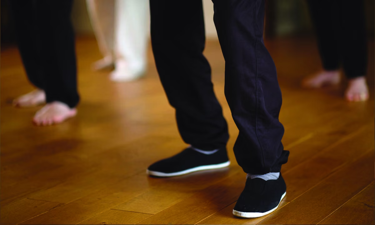 Cours de Taï Chi Chuan 3 tai chi enracinement