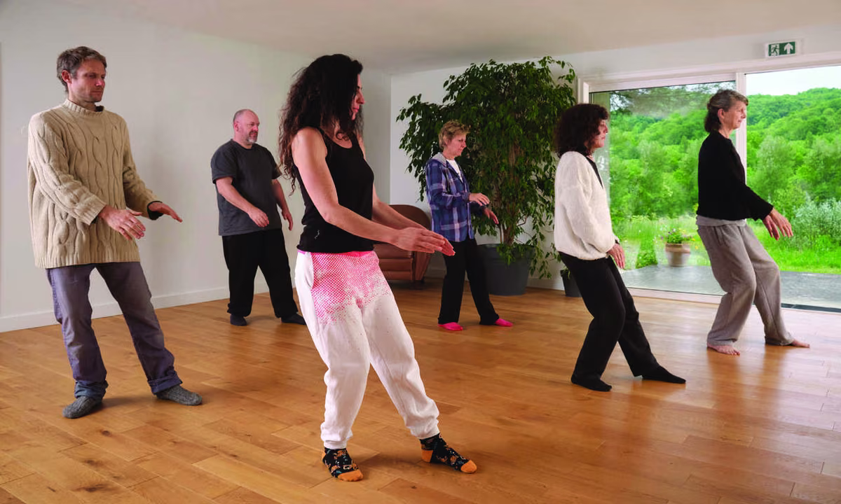 Cours de Taï Chi Chuan 1 tai chi meditation mouvement
